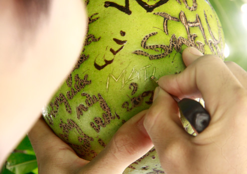 Người[-]đến[-]chùa[-]thường[-]tìm[-]đến[-]hai[-]cây[-]đào[-]tiên,[-]dùng[-]bút[-]xóa,[-]chìa[-]khóa[-]để[-]khắc[-]chữ.[-]Một[-]chú[-]tiểu[-]tại[-]chùa[-]cho[-]biết[-]hai[-]cây[-]đào[-]tiên[-]này[-]có[-]quả[-]vài[-]năm[-]nay[-]và[-]đợt[-]nào[-]cũng[-]bị[-]khách[-]du[-]lịch[-]hay[-]người[-]đi[-]chùa[-]khắc[-]chữ[-]lên[-]trên,[-]chủ[-]yếu[-]là[-]người[-]Việt[-]Nam,[-]trong[-]đó[-]có[-]các[-]cô[-]gái[-]treo[-]lên[-]cây[-]khắc[-]chữ.